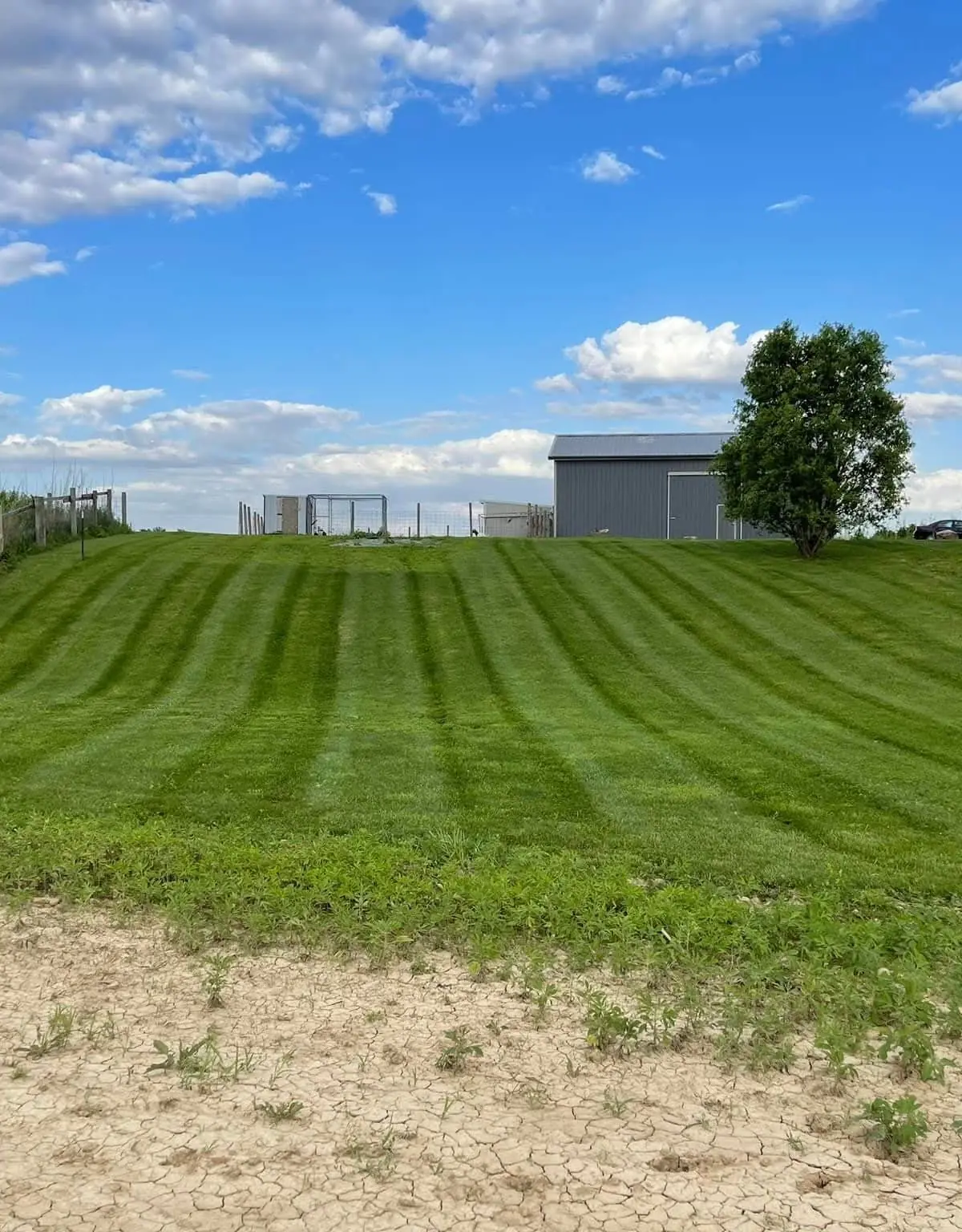 Open lawn cut and striped by APG in Middle Tennessee